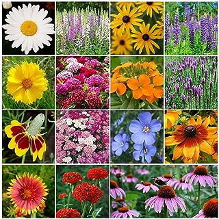 16 different wild flowers for the blog post "Slavic Countries National Flowers" by Mrugacz.